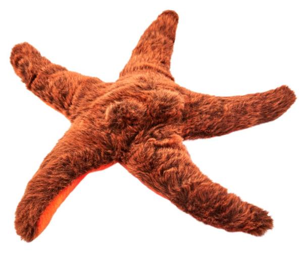 Anima Peluche Etoile de Mer - 25 cm